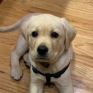 Meet your Posher, Danelle